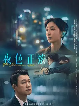 夜色正浓剧情介绍
